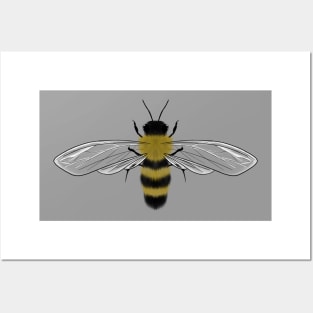 Honeybee Posters and Art